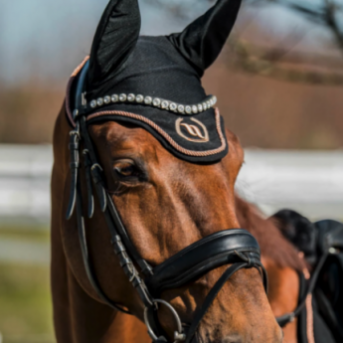 BACK ON TRACK BONNET CHEVAL - bonnet cheval noir et rose