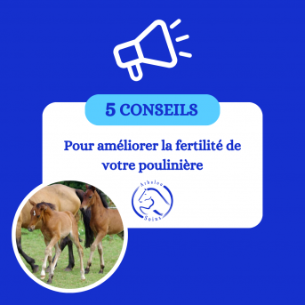 Produit augmenter la fertilité de la jument - La boutique de l'Arbalou