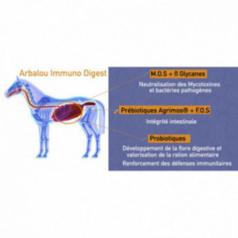 Arbalou Immuno digest pré et probiotiques cheval  mycotoxine cheval