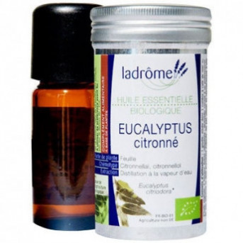 Huile essentielle eucalyptus - Arbalou Soins