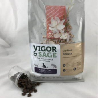 Vigor and sage saumon chat lily root beauty