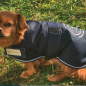 Manteau Chien Arbalou Soins