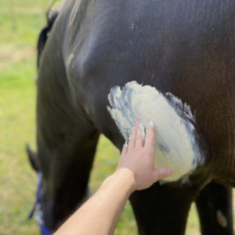 Argile chauffante cheval - Argile muscle cheval - La boutique de l'Arbalou