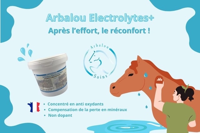 Promotion sur les électrolytes pour chevaux.