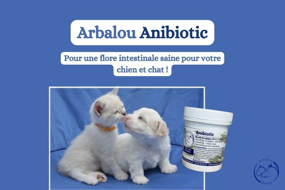 Des prébiotiques et probiotiques pour vos chiens et chats en promotion ce mois-ci