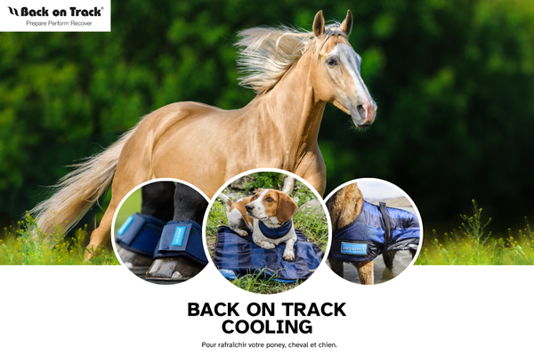 Cooling, la gamme rafraichissantes de Back on track.