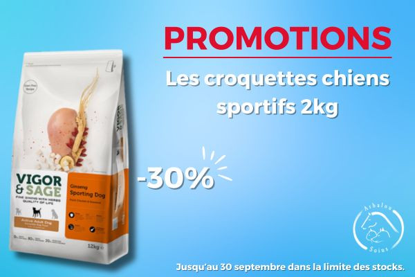 Les croquettes en promotion en Septembre