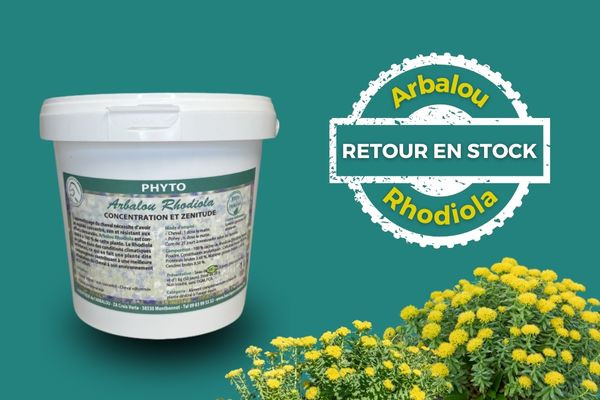 Le Rhodiola est de retour chez Arbalou Soins.