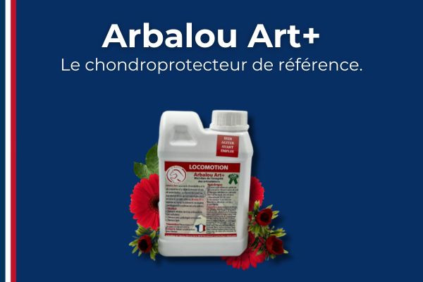 Arbalou ART + cheval, le chondroprotecteur de référence.