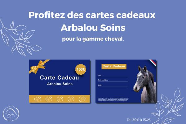 Découvrez les cartes cadeaux de la Boutique de l'Arbalou