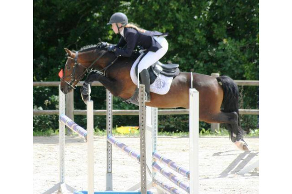 L'intérêt des chondroprotecteurs chez les chevaux de sport, d'élevage et senior.