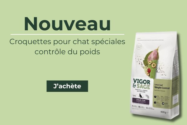 Découvrez les nouvelles croquettes pour chats.